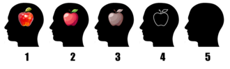 Aphantasia_apple_test.png